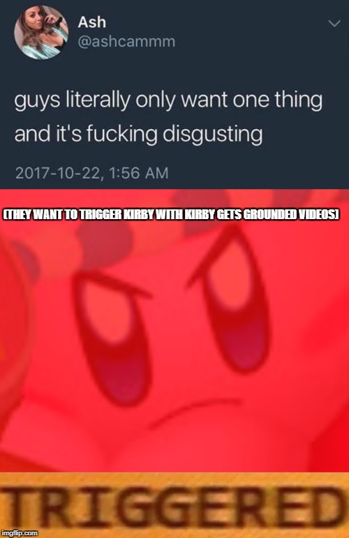  (THEY WANT TO TRIGGER KIRBY WITH KIRBY GETS GROUNDED VIDEOS) | image tagged in funny,memes,guys literally only want one thing,kirby | made w/ Imgflip meme maker