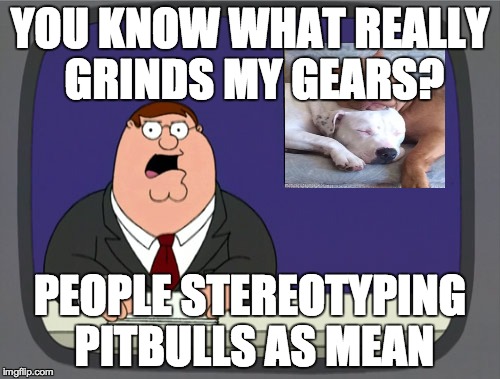 Peter Griffin Pitbulls | YOU KNOW WHAT REALLY GRINDS MY GEARS? PEOPLE STEREOTYPING PITBULLS AS MEAN | image tagged in memes,peter griffin news,peter griffin,you know what really grinds my gears,dogs,family guy | made w/ Imgflip meme maker