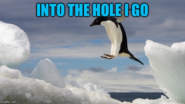 Jumping Penguin | INTO THE HOLE I GO | image tagged in jumping penguin | made w/ Imgflip meme maker