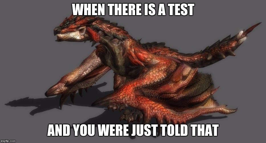 Rathalos | WHEN THERE IS A TEST; AND YOU WERE JUST TOLD THAT | image tagged in rathalos | made w/ Imgflip meme maker