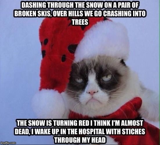 Grumpy Xmas | image tagged in grumpy cat,xmas,memes | made w/ Imgflip meme maker