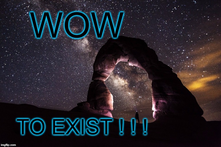 WOW | WOW; TO EXIST ! ! ! | image tagged in wow,life,motivation,amazing,earth,universe | made w/ Imgflip meme maker