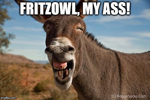 Donkey Jackass Braying | FRITZOWL, MY ASS! | image tagged in donkey jackass braying | made w/ Imgflip meme maker