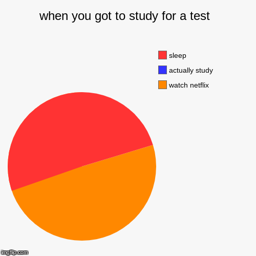study time  | image tagged in funny,pie charts | made w/ Imgflip chart maker