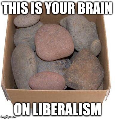 Box of Rocks | THIS IS YOUR BRAIN; ON LIBERALISM | image tagged in box of rocks | made w/ Imgflip meme maker