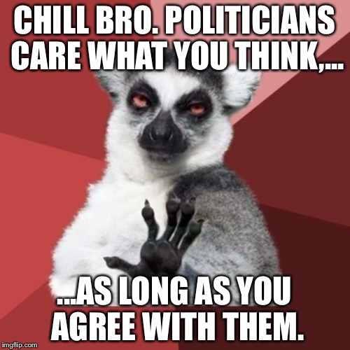 Pandering for upvotes | CHILL BRO. POLITICIANS CARE WHAT YOU THINK,... ...AS LONG AS YOU AGREE WITH THEM. | image tagged in memes,chill out lemur,upvotes,politicians,agree,american politics | made w/ Imgflip meme maker