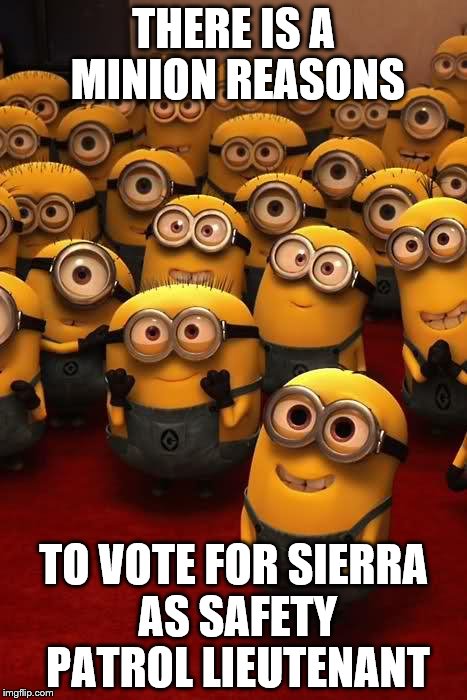 minions | THERE IS A MINION REASONS; TO VOTE FOR SIERRA AS SAFETY PATROL LIEUTENANT | image tagged in minions | made w/ Imgflip meme maker