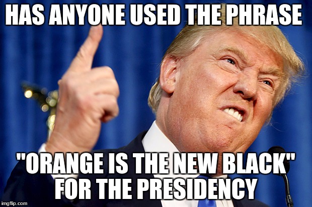 Donald Trump | HAS ANYONE USED THE PHRASE; "ORANGE IS THE NEW BLACK" FOR THE PRESIDENCY | image tagged in donald trump | made w/ Imgflip meme maker