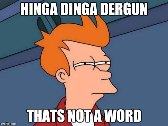 Futurama Fry Meme | HINGA DINGA DERGUN; THATS NOT A WORD | image tagged in memes,futurama fry | made w/ Imgflip meme maker