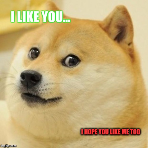Doge | I LIKE YOU... I HOPE YOU LIKE ME TOO | image tagged in memes,doge | made w/ Imgflip meme maker