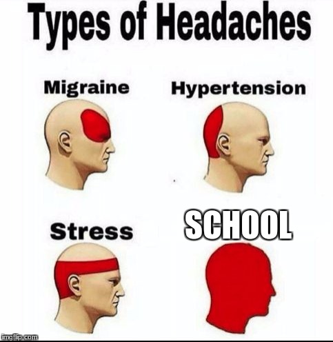 Types of Headaches meme | SCHOOL | image tagged in types of headaches meme | made w/ Imgflip meme maker
