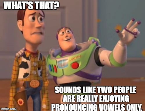X, X Everywhere | WHAT'S THAT? SOUNDS LIKE TWO PEOPLE ARE REALLY ENJOYING  PRONOUNCING VOWELS ONLY. | image tagged in memes,x x everywhere | made w/ Imgflip meme maker
