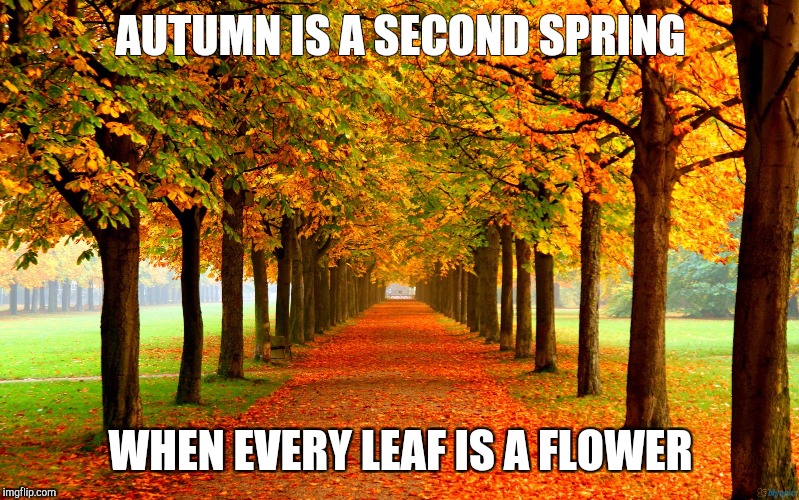 I love Autumn | AUTUMN IS A SECOND SPRING; WHEN EVERY LEAF IS A FLOWER | image tagged in autumn leaves | made w/ Imgflip meme maker