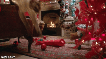 catchristmas | image tagged in gifs,christmas | made w/ Imgflip video-to-gif maker