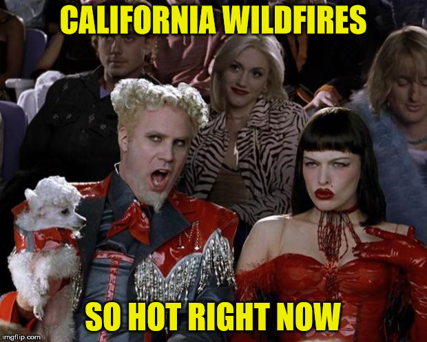MEME's too Soon - SoCal Wildfires | CALIFORNIA WILDFIRES; SO HOT RIGHT NOW | image tagged in mugatu so hot right now,california,wildfires,memes too soon | made w/ Imgflip meme maker