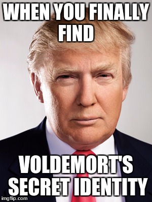 Donald Trump | WHEN YOU FINALLY FIND; VOLDEMORT'S SECRET IDENTITY | image tagged in donald trump | made w/ Imgflip meme maker