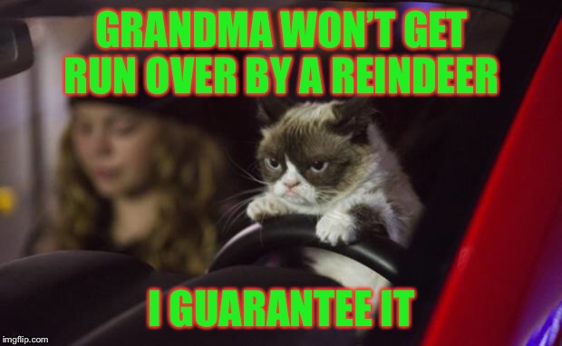 Grumpy Cat Driving | GRANDMA WON’T GET RUN OVER BY A REINDEER; I GUARANTEE IT | image tagged in grumpy cat driving,americanpenguin | made w/ Imgflip meme maker