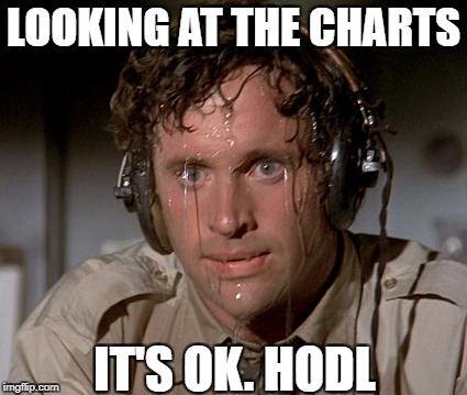 Sweating on commute after jiu-jitsu | LOOKING AT THE CHARTS; IT'S OK. HODL | image tagged in sweating on commute after jiu-jitsu | made w/ Imgflip meme maker