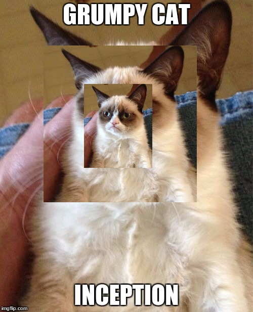 GRUMPY CAT; INCEPTION | image tagged in inception | made w/ Imgflip meme maker