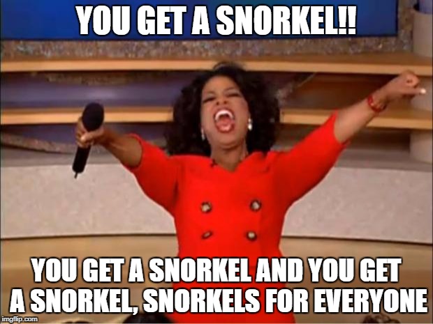 Oprah You Get A Meme | YOU GET A SNORKEL!! YOU GET A SNORKEL AND YOU GET A SNORKEL, SNORKELS FOR EVERYONE | image tagged in memes,oprah you get a | made w/ Imgflip meme maker