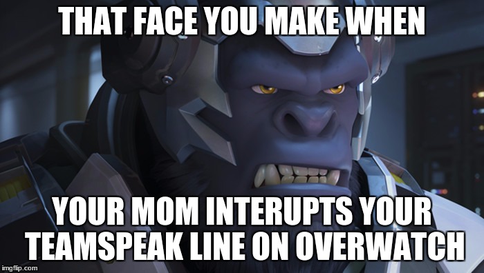 Winston Overwatch | THAT FACE YOU MAKE WHEN; YOUR MOM INTERUPTS YOUR TEAMSPEAK LINE ON OVERWATCH | image tagged in winston overwatch | made w/ Imgflip meme maker