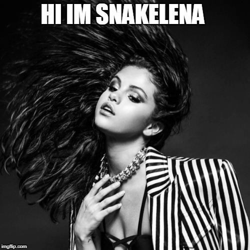 selena gomez | HI IM SNAKELENA | image tagged in selena gomez | made w/ Imgflip meme maker