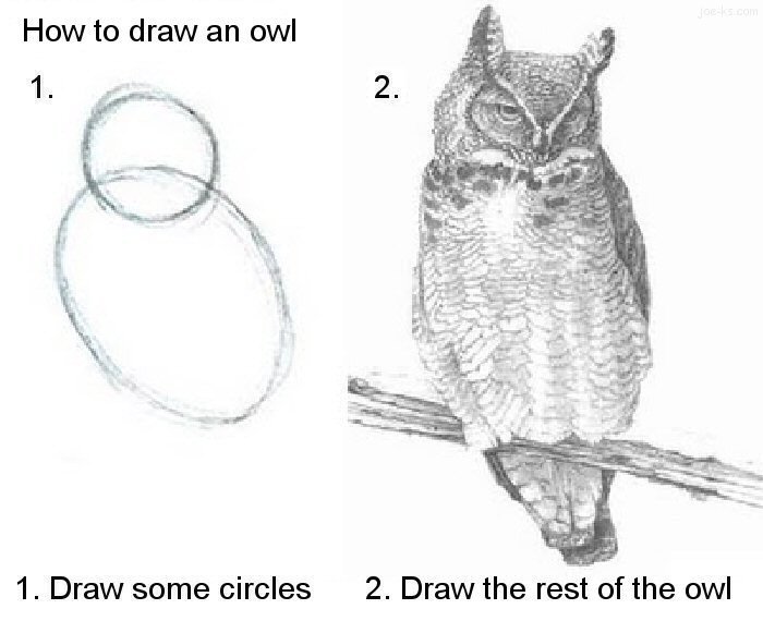 draw an owl Blank Meme Template