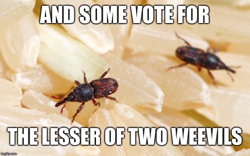 AND SOME VOTE FOR THE LESSER OF TWO WEEVILS | made w/ Imgflip meme maker