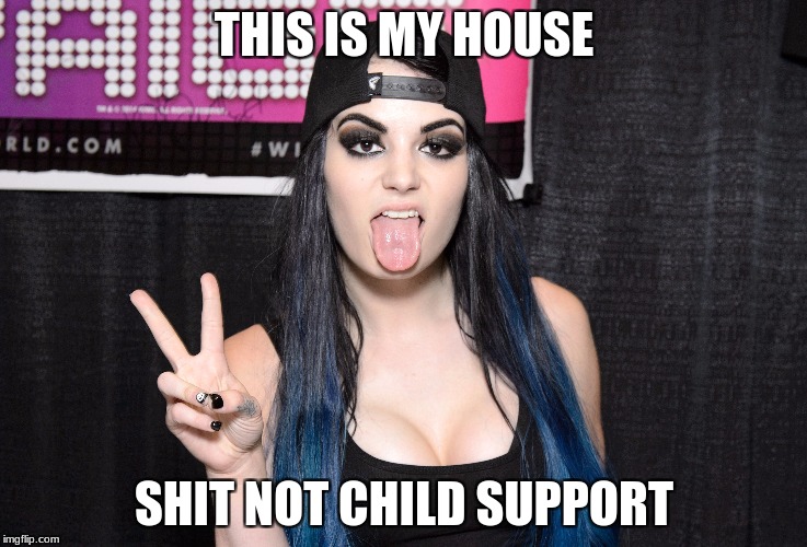 this is my house | THIS IS MY HOUSE; SHIT NOT CHILD SUPPORT | image tagged in have fun | made w/ Imgflip meme maker