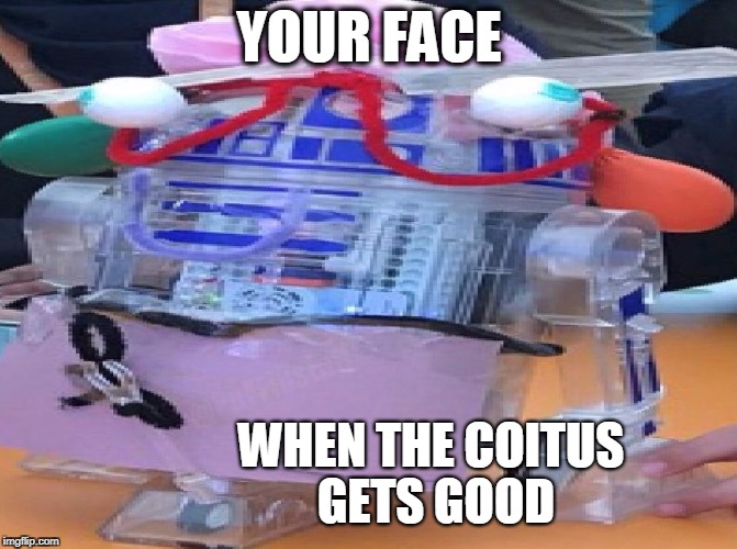 When the coitus gets good | YOUR FACE; WHEN THE COITUS GETS GOOD | image tagged in poppcornpuffy,puffinstuff,cricketslfe,coitus,r2d2,r2dfail2 | made w/ Imgflip meme maker