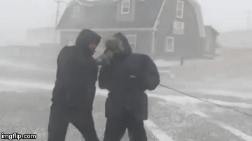 blizzardreporter | image tagged in gifs,funny | made w/ Imgflip video-to-gif maker