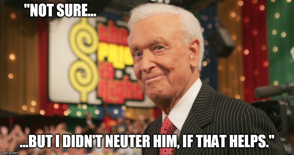 "NOT SURE... ...BUT I DIDN'T NEUTER HIM, IF THAT HELPS." | made w/ Imgflip meme maker