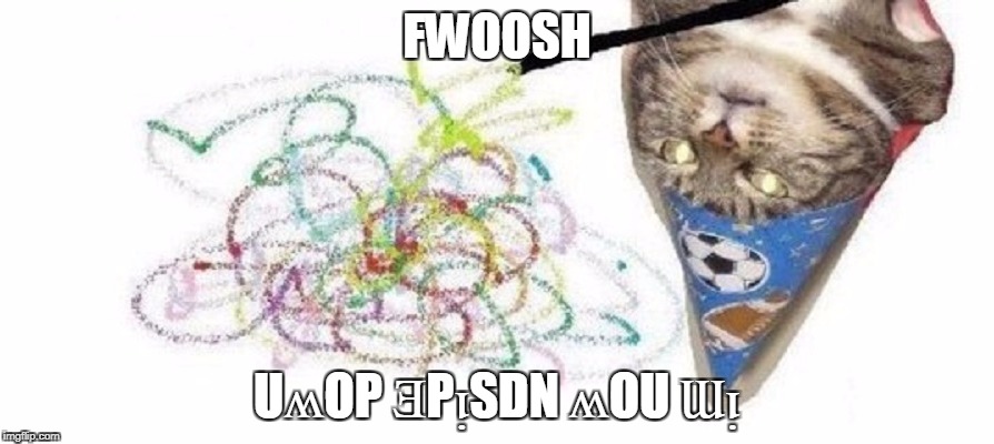 High Wizard Cat | FWOOSH; UʍOP ƎPᴉSDN ʍOU Ɯᴉ | image tagged in high wizard cat | made w/ Imgflip meme maker
