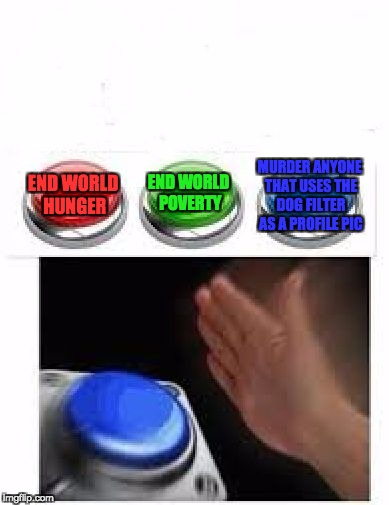 Red Green Blue Buttons |  END WORLD POVERTY; MURDER ANYONE THAT USES THE DOG FILTER AS A PROFILE PIC; END WORLD HUNGER | image tagged in red green blue buttons | made w/ Imgflip meme maker