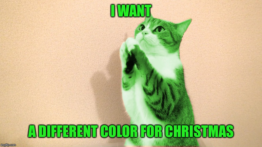 RayCat Pray | I WANT A DIFFERENT COLOR FOR CHRISTMAS | image tagged in raycat pray | made w/ Imgflip meme maker