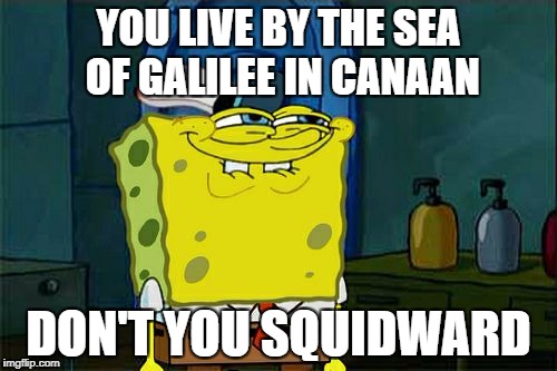 Don't You Squidward Meme | YOU LIVE BY THE SEA OF GALILEE IN CANAAN; DON'T YOU SQUIDWARD | image tagged in memes,dont you squidward | made w/ Imgflip meme maker