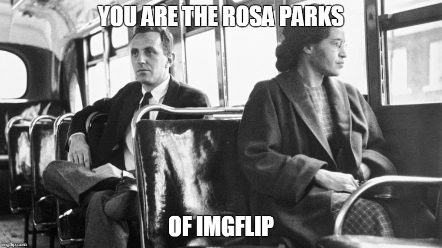 just sit down on downvotes | YOU ARE THE ROSA PARKS; OF IMGFLIP | image tagged in downvote,downvote fairy,down with downvotes weekend | made w/ Imgflip meme maker