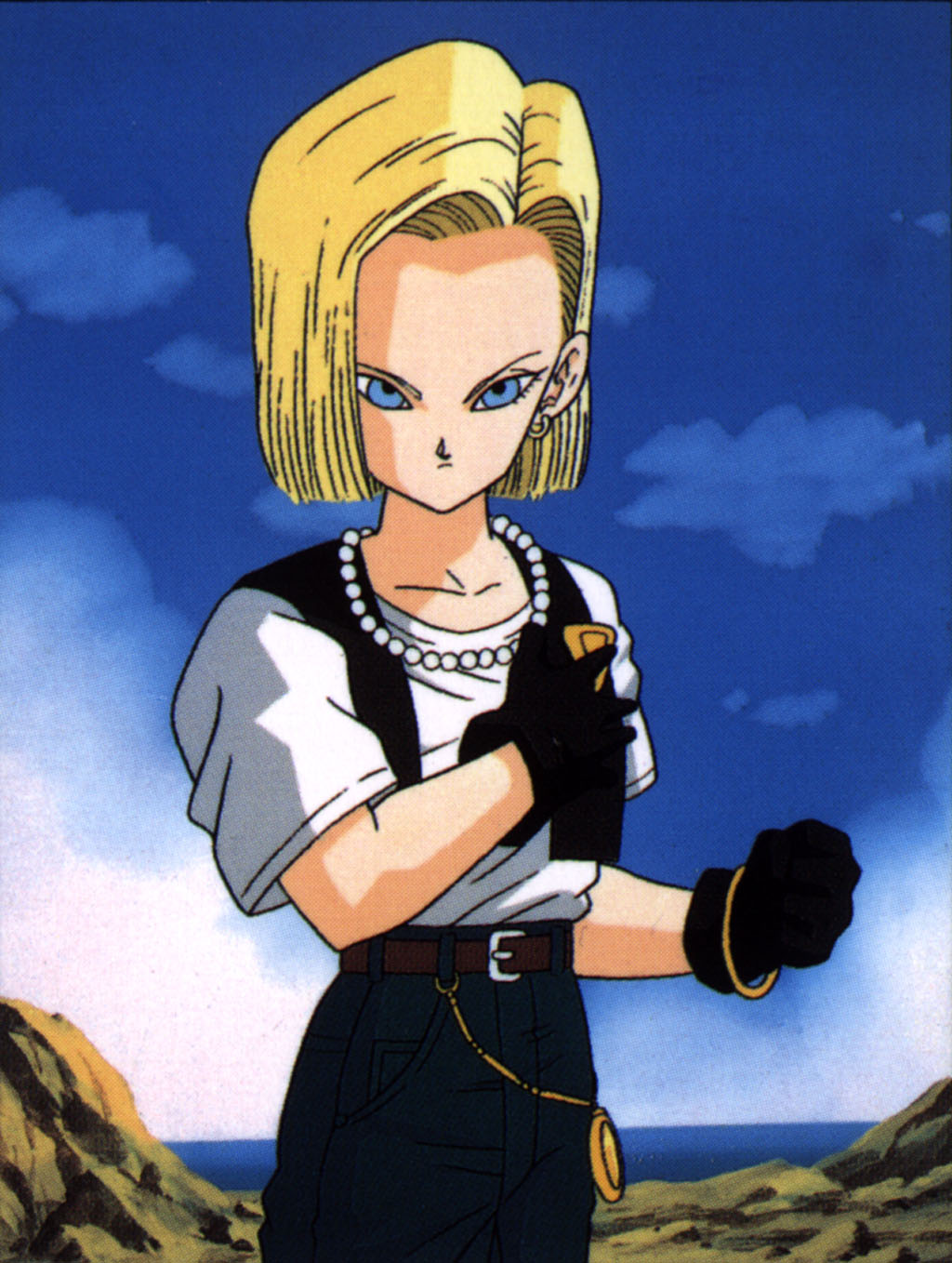 android 18 Blank Meme Template