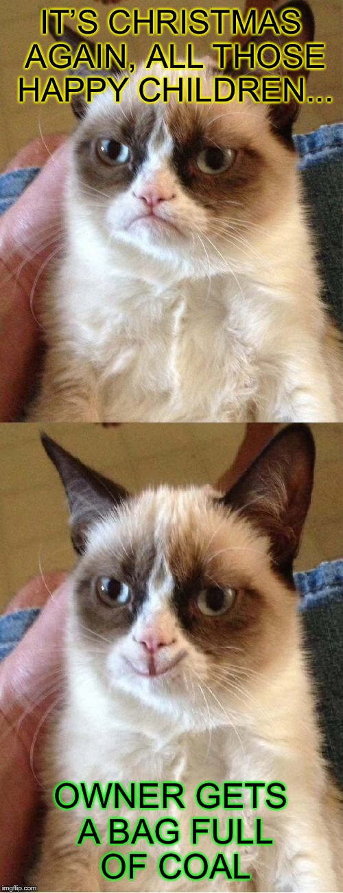 Grumpy Cat 2x Smile | IT’S CHRISTMAS AGAIN, ALL THOSE HAPPY CHILDREN... OWNER GETS A BAG FULL OF COAL | image tagged in grumpy cat 2x smile | made w/ Imgflip meme maker