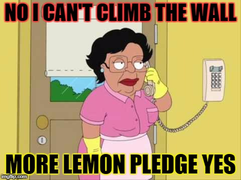 Lemon Mexican | NO I CAN'T CLIMB THE WALL; MORE LEMON PLEDGE YES | image tagged in family guy maid on phone,mexican wall,family guy,lemons,president trump,the wall | made w/ Imgflip meme maker