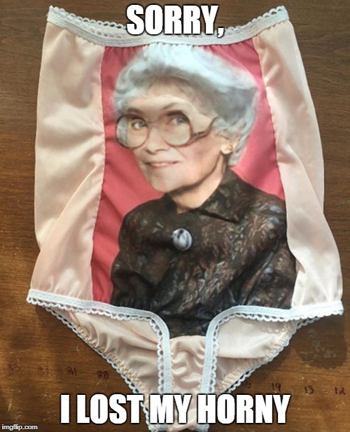 I...can't ...unsee...this! | SORRY, I LOST MY HORNY | image tagged in golden girls,panties | made w/ Imgflip meme maker