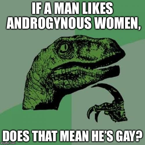 Philosoraptor Meme | IF A MAN LIKES ANDROGYNOUS WOMEN, DOES THAT MEAN HE’S GAY? | image tagged in memes,philosoraptor | made w/ Imgflip meme maker