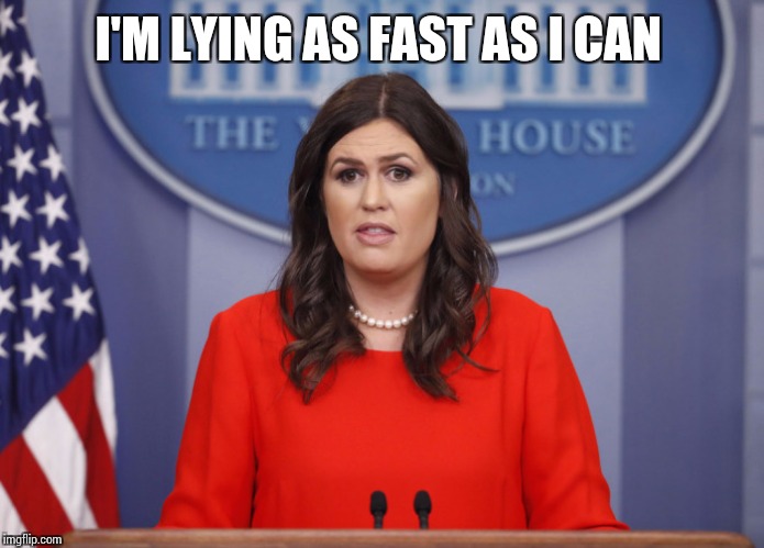 Sarah Huckabee | I'M LYING AS FAST AS I CAN | image tagged in sarah huckabee | made w/ Imgflip meme maker