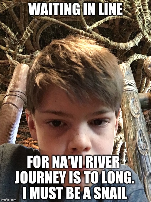 Navi meme | WAITING IN LINE; FOR NA’VI RIVER JOURNEY IS TO LONG. I MUST BE A SNAIL | image tagged in disney,avatar,memes,funny,funny memes | made w/ Imgflip meme maker
