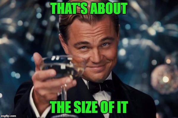 Leonardo Dicaprio Cheers Meme | THAT'S ABOUT THE SIZE OF IT | image tagged in memes,leonardo dicaprio cheers | made w/ Imgflip meme maker