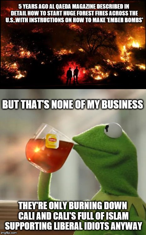 The enemy of my enemys still an idiot | BUT THAT'S NONE OF MY BUSINESS; THEY'RE ONLY BURNING DOWN CALI AND CALI'S FULL OF ISLAM SUPPORTING LIBERAL IDIOTS ANYWAY | image tagged in fire,but thats none of my business | made w/ Imgflip meme maker