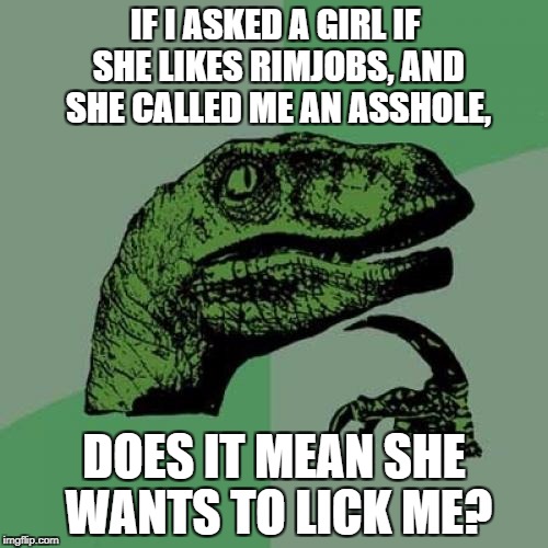 Philosoraptor Meme | IF I ASKED A GIRL IF SHE LIKES RIMJOBS, AND SHE CALLED ME AN ASSHOLE, DOES IT MEAN SHE WANTS TO LICK ME? | image tagged in memes,philosoraptor | made w/ Imgflip meme maker