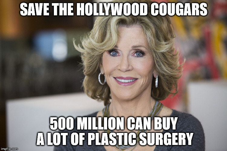 Jane Fonda | SAVE THE HOLLYWOOD COUGARS; 500 MILLION CAN BUY A LOT OF PLASTIC SURGERY | image tagged in jane fonda | made w/ Imgflip meme maker