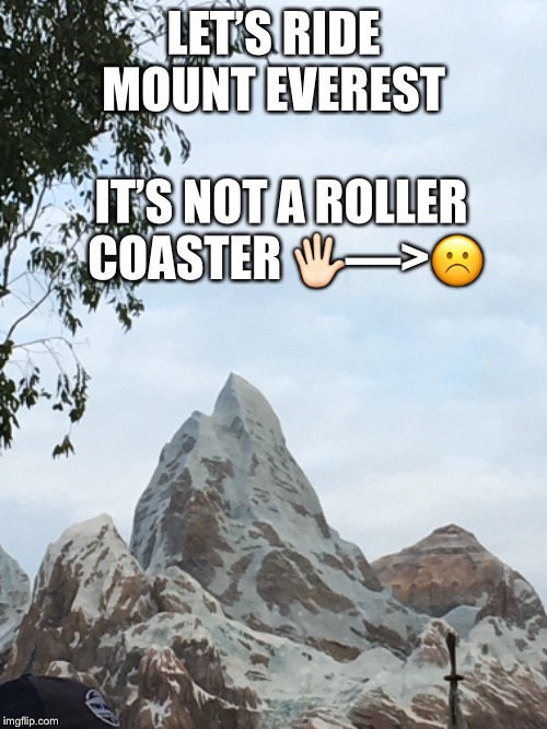 Everest meme | LET’S RIDE MOUNT EVEREST; IT’S NOT A ROLLER COASTER 🖐🏻—>☹️ | image tagged in mountain,funny,disney,memes,funny memes | made w/ Imgflip meme maker