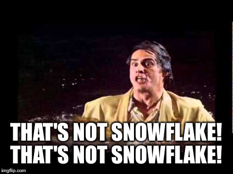 THAT'S NOT SNOWFLAKE! THAT'S NOT SNOWFLAKE! | made w/ Imgflip meme maker